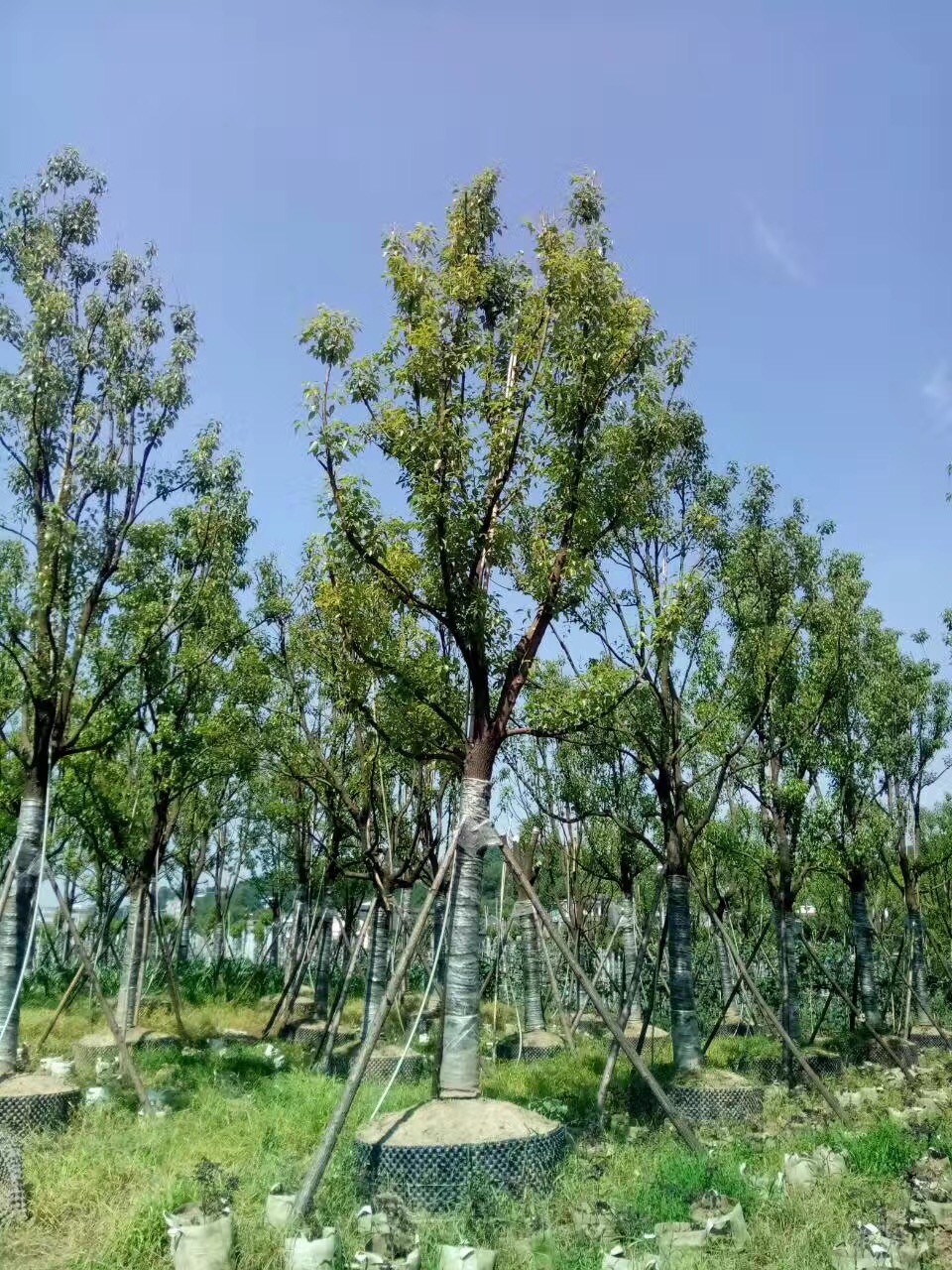 ��Ʒȫ����������